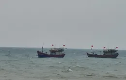 Quảng Bình: Khẩn trương ứng cứu tàu cá cùng 12 ngư dân gặp nạn trên biển