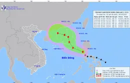 Bão NALGAE đang giật cấp 12 phía Tây Nam đảo Lu-Dông