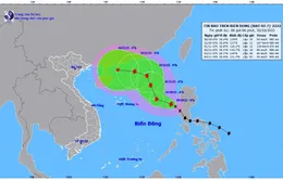 Bão số 7 giật cấp 12, có xu hướng mạnh dần lên