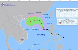 Bão số 7 di chuyển chậm, hướng lên phía Bắc