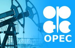 OPEC+ nhóm họp trực tiếp lần đầu tiên kể từ dịch COVID-19 vào ngày 5/10