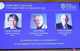 Nobel Hóa học 2022 và những gương mặt đặc biệt