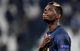 Điểm báo: Ảnh hưởng của việc Pogba vắng mặt tại FIFA World Cup 2022™ với ĐT Pháp