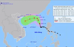 Bão số 7 giật cấp 14, di chuyển phức tạp