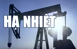 Nhu cầu dầu thế giới năm 2023 sẽ hạ nhiệt?