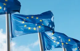 EU cấp phép vaccine COVID-19 của Sanofi - GSK làm mũi tiêm tăng cường