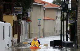 Bão Nicole gây mất điện trên diện rộng tại Florida