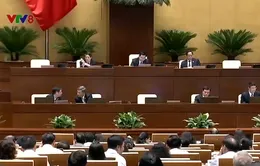 Bảo vệ người tiêu dùng trước những quảng cáo sai sự thật