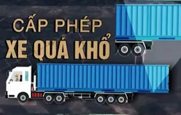 Hiểm họa tai nạn từ xe container quá khổ: Vì sao vẫn được cấp phép?