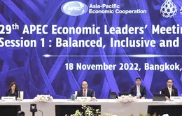 Khai mạc Tuần lễ cấp cao APEC, Chủ tịch nước Nguyễn Xuân Phúc dự phiên thảo luận đầu tiên