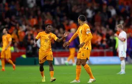 Bảng A World Cup 2022, Senegal 0-2 Hà Lan: Bùng nổ cuối trận!