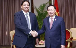 Thúc đẩy hợp tác kinh tế Việt Nam - Philippines