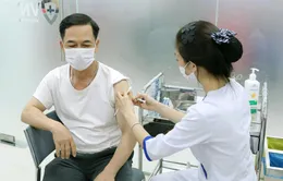 Vì sao người lớn cần tiêm vaccine trước dịp cuối năm?