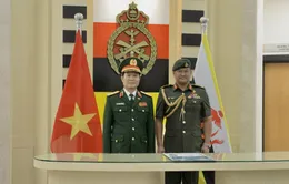 Thúc đẩy hợp tác quốc phòng Việt Nam - Brunei