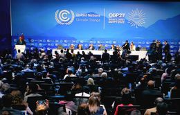 Hội nghị COP27: Đoàn kết giải quyết những thách thức về biến đổi khí hậu