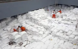 5 mặt hàng nông sản có thặng dư thương mại cao