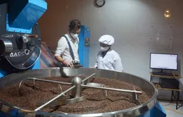 Thách thức cạnh tranh với cà phê Việt