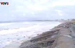 Bình Định: Người dân bức xúc vì tình trạng hút cát gây sạt lở bờ biển