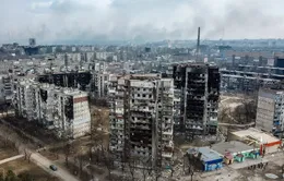 Ngân hàng Thế giới thông qua gói cứu trợ 610 triệu USD cho Ukraine