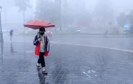 Bắc Bộ và Bắc Trung Bộ trời tiếp tục rét, Quảng Trị đến Khánh Hòa cục bộ có mưa to