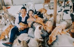 Saigon Time - Mái ấm yên bình của những thú cưng bị bỏ rơi