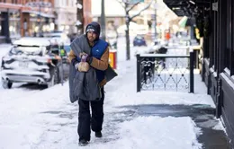 Bão tuyết gây thiệt hại nặng nề tại Mỹ và Nhật Bản