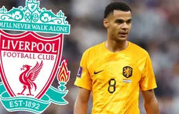 Cody Gakpo từ chối MU, bất ngờ gia nhập Liverpool