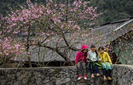 Hà Giang: Bảo tồn văn hóa, đẩy mạnh liên kết phát triển du lịch bứt phá năm 2023