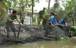 Công an Hậu Giang cùng nhân dân xây những vùng xanh chống sạt lở