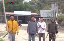 Người dân vùng cao Quảng Nam tự nguyện giao nộp vũ khí, vật liệu nổ
