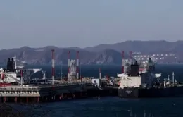 Tắc nghẽn tàu chở dầu tại vùng lãnh hải của Thổ Nhĩ Kỳ