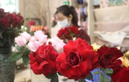 Giá hoa hồng Đà Lạt cho ngày Valentine tăng gấp từ 2 - 3 lần