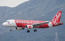 Máy bay của hãng hàng không AirAsia phải hạ cánh khẩn cấp do có rắn