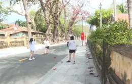Côn Đảo: Đẹp thơ mộng, ngỡ ngàng mùa Bàng thay lá