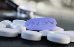 Thuốc kháng virus Molnupiravir có gây yếu sinh lý?