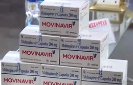 Thuốc kháng virus sản xuất tại Việt Nam sẵn sàng ra thị trường
