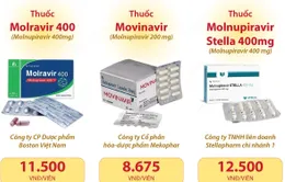 [INFOGRAPHIC] Sử dụng thuốc Molnupiravir thế nào để an toàn và hiệu quả?