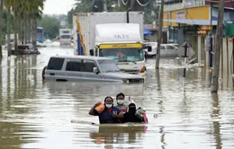 12.000 người phải sơ tán vì lũ lụt ở Malaysia