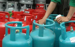 Giá bình gas 12kg vượt mức 500.000 đồng