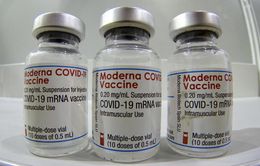 Nam Phi sản xuất vaccine COVID-19 sử dụng các thông số của Moderna