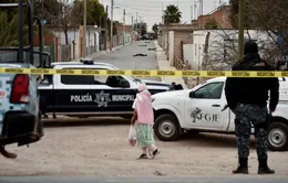 Các băng nhóm tội phạm đụng độ ở miền Trung Mexico, 16 người tử vong