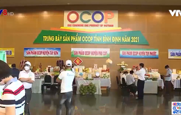 Bình Định hiệu quả chương trình OCOP