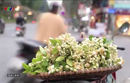 Hà Nội tháng 3 thơm ngát những gánh hoa bưởi