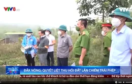 Đắk Nông quyết liệt thu hồi đất lấn chiếm trái phép