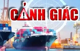 Vụ 100 container hạt điều: Bài học cho sự cảnh giác!