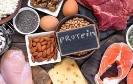 Bạn có thể ăn bao nhiêu protein?