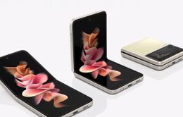 Galaxy Z Flip3 - Điện thoại màn hình gập phổ biến nhất thế giới