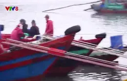 Ngư dân Hà Tĩnh nỗ lực vươn khơi bám biển