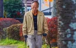 Học ngay bí quyết của người Nhật giúp khỏe mạnh và kéo dài tuổi thọ