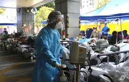 Dịch vụ vận tải, siêu thị tại Hong Kong (Trung Quốc) cắt giảm hoạt động do COVID-19